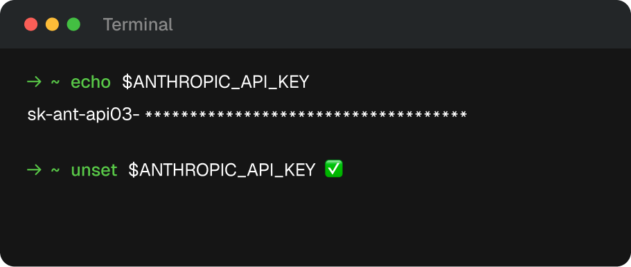 Checking for ANTHROPIC_API_KEY in your shell